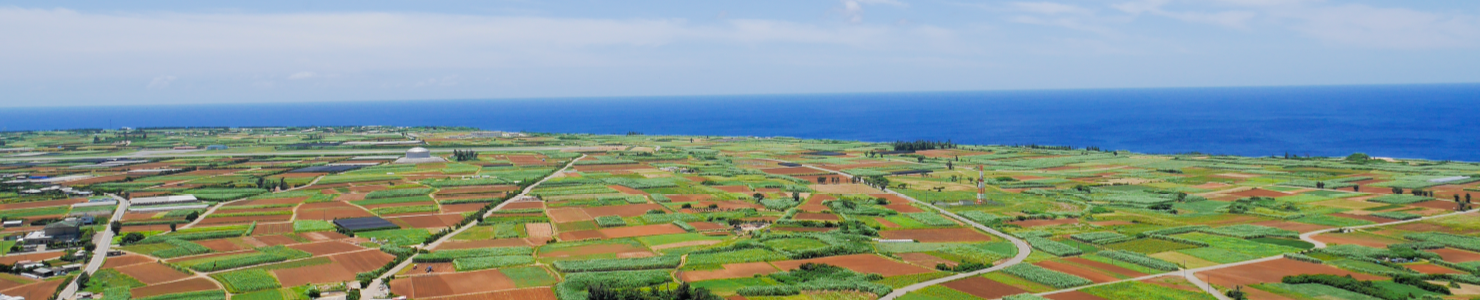 お問い合わせタイトル 背景