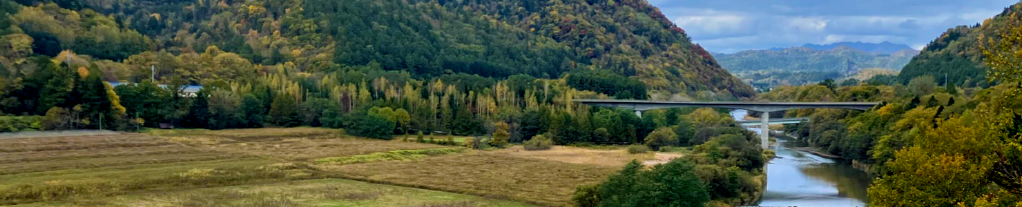 お知らせページタイトル 背景