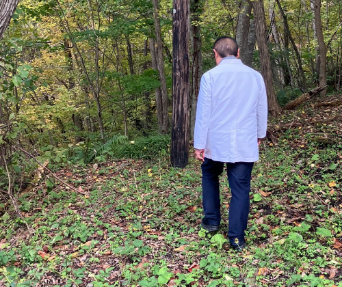 山間部の山道 イメージ写真