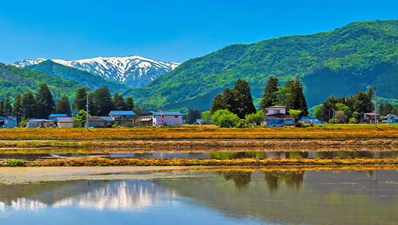 飯豊連峰と田園の写真
